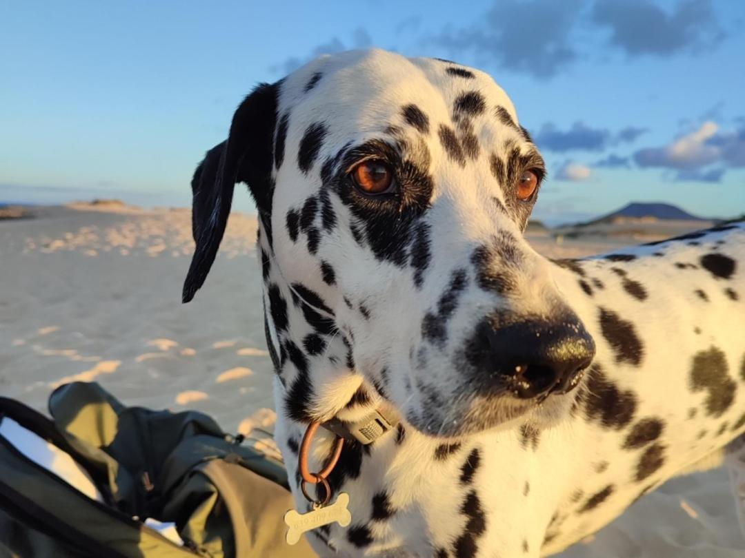 Alojamiento Fuerteventura Tikuna Ла-Олива Экстерьер фото